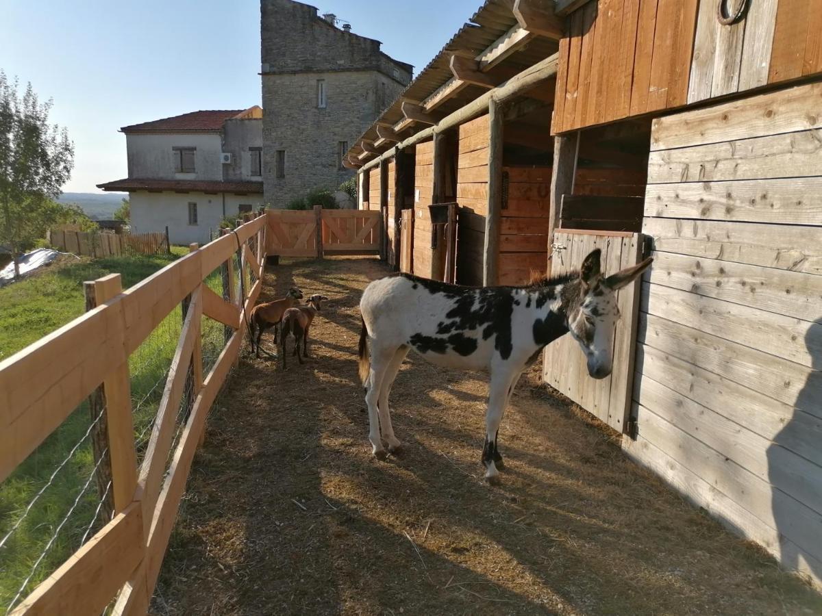 Villa Les Hauts Vallons Puylaroque Exteriér fotografie