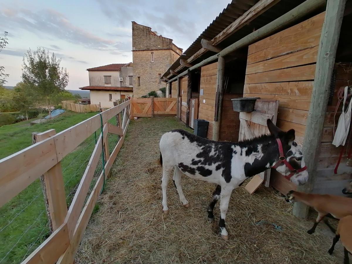 Villa Les Hauts Vallons Puylaroque Exteriér fotografie